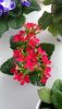 P_20190426_095244_vHDR_Auto.thumb.jpg.22b21cd83f065aad576541dbd12ca525.jpg