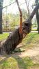 P_20190427_102419.thumb.jpg.7d50a38a5be26fdace3ac4d298a7242d.jpg