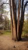P_20190427_114942.thumb.jpg.52afe8c16f900500d04745755f588aea.jpg