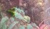 WP_20190526_18_14_40_Pro.thumb.jpg.b48847acbaf0e48fb1bba33efbaaeca7.jpg?1558895340417