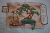 bonsai1205.jpg.ba40f2175fbc7af054e1198cd0db2f76.thumb.jpg.da51c3d6d89324f91cac2cba2bce9394.jpg
