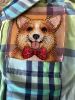 image.thumb.jpeg.79a456f2b1568e598145b64e398ac177.jpeg