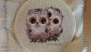 owl_06.jpg