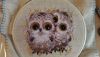 owl_07.jpg