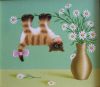 picture.thumb.jpg.7f868c1bbcbc37a8e40f653f1cace9e3.jpg