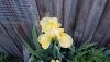 rdaUN-ToJ20.thumb.jpg.248bca0c9bbafcc062bd1391a4354ac2.jpg