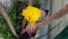 uAL-rWpHsDg.thumb.jpg.9a5669ba0416f41a4ad2b92ab0601497.jpg