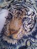 -6iN9MJyY1U.jpg.2f81d6178b6166c84b950b50444e2fb2.thumb.jpg.b9be9a2cb60a0c3ffa12a48fc9eba962.jpg