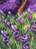 105.thumb.jpeg.725cb054119231234cb9535f88021cd3.jpeg