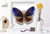 Благовест Б-041, Euploea Mulciber