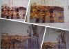 1227822254_MyCollages(3).thumb.jpg.a02c65fd7b8908b20a380673addc436b.jpg