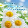 1473186463_.thumb.jpg.2b6cfa4b1d201217d93ba1b0beee098a.jpg
