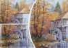 1597391367_MyCollages(6-).thumb.jpg.f1eebec319a5438f2ca164086c28e9dd.jpg