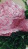 2.thumb.jpg.b741fa45cb90c95849a0910f7d9ad111.jpg