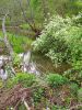 20190512_165218.thumb.jpg.0632df956bf43eb279cdb090d6406024.jpg