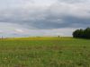 20190512_172311.thumb.jpg.de46f45341987729d2e9126f8cc37c4e.jpg