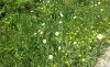 20190514_124812.thumb.jpg.9c19b6952566ec0d1aaedc67781e007f.jpg