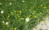 20190514_124820.thumb.jpg.08a9d81eeebcf7781b9cbc28095c09a7.jpg