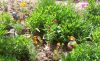 20190518_094435.jpg