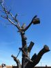 20190518_135045.thumb.jpg.a062118de935ef0cf9bc05f77fe5857d.jpg