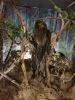 20190518_135406.thumb.jpg.d9ae09ed51dbcaea5a5cabb622742b0b.jpg