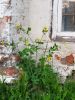 20190518_202938.thumb.jpg.3dc9f1d488bc0882b183e93fcbe59ba2.jpg