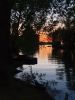 20190518_212540.thumb.jpg.52a5866659a05ae40fe2bdc07473ed3a.jpg