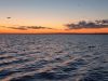 20190518_213127.thumb.jpg.f7a84cca0b0b99792f17dedb2275ac62.jpg