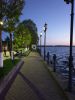 20190518_213641.thumb.jpg.df7f118ff387490767b29372dbb60d22.jpg