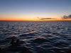 20190518_213718.thumb.jpg.dfff816eac2933b7c2dbf8487b6a0b84.jpg