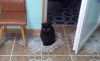 20190525_170437.thumb.jpg.c0dc8f987e098ddee95476cd2ed0ff1a.jpg