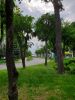 20190525_175049.thumb.jpg.cccd4b5645f1514676e92aa7c2022ee2.jpg