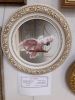 20190531_121116.thumb.jpg.438f09ba91a78f59d631f807e8c4781e.jpg