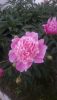 20190601_161039.jpg