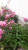20190601_161058.jpg