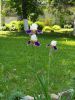 20190608_133758.thumb.jpg.3eba181f24d0ccada8c298c8a43f6bda.jpg