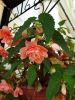 20190608_135245.thumb.jpg.6b23396d96abc482ebd310bba2d45154.jpg