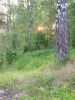 20190608_201216.thumb.jpg.5b6db6f17c2542a2e68718cc0cde7f32.jpg