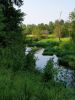 20190609_075644.thumb.jpg.a991fea024403dbb2d77daa36caad1e0.jpg