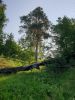 20190609_075735.thumb.jpg.fd3b60f9a5434a2963104238bd381911.jpg