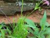 20190609_080516.thumb.jpg.e40b033b154a37333cc342ae4d2b1d49.jpg
