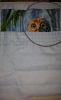 20190609_222947.thumb.jpg.c51a07bf72fb7809130bb5d890854add.jpg