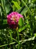 20190613_174523.thumb.jpg.b6b636f6400fc703b57854eaa783cc38.jpg