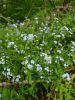 20190615_162213.thumb.jpg.a6d9e0d763cbbc28e604b9fd8f20ed3d.jpg