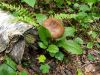 20190616_123249.thumb.jpg.ff4b10ef0ddbf0bc423deb3ef4282be4.jpg