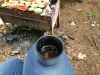 20190616_145043.thumb.jpg.ea114231e64a3f8bd5c4233a49ab91a6.jpg