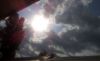20190616_170755.thumb.jpg.9233921c295b0cdcf29585fd674b0cd7.jpg