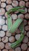 20190617_214238.thumb.jpg.98dd8130135333171c87c62a534442c9.jpg
