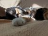 20190619_180539.thumb.jpg.ddd8fd33de4630c67a7cd52feb904851.jpg