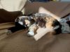 20190619_180602.thumb.jpg.befc985450d0b550131c568192162d61.jpg